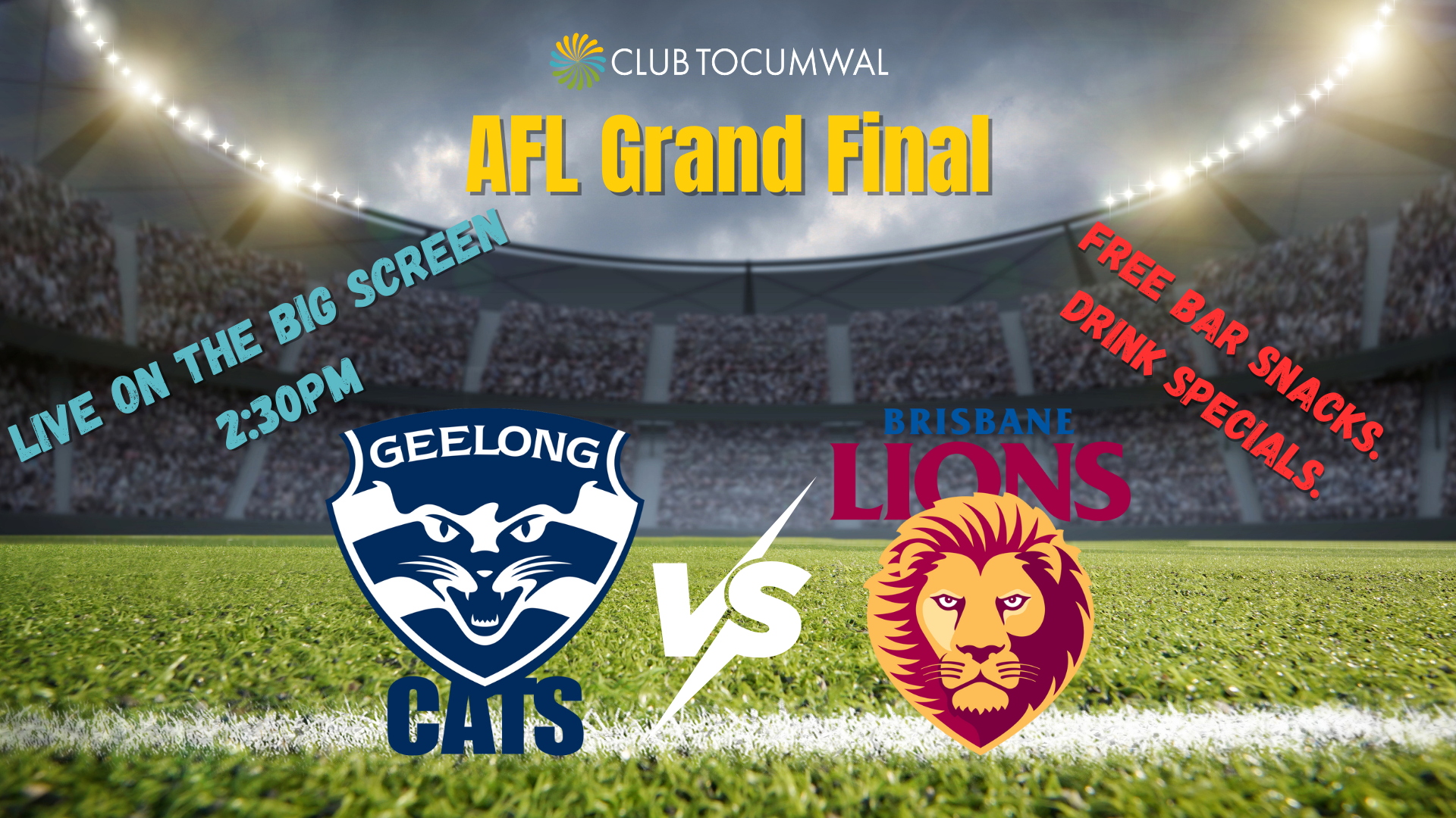 AFL Grand Final