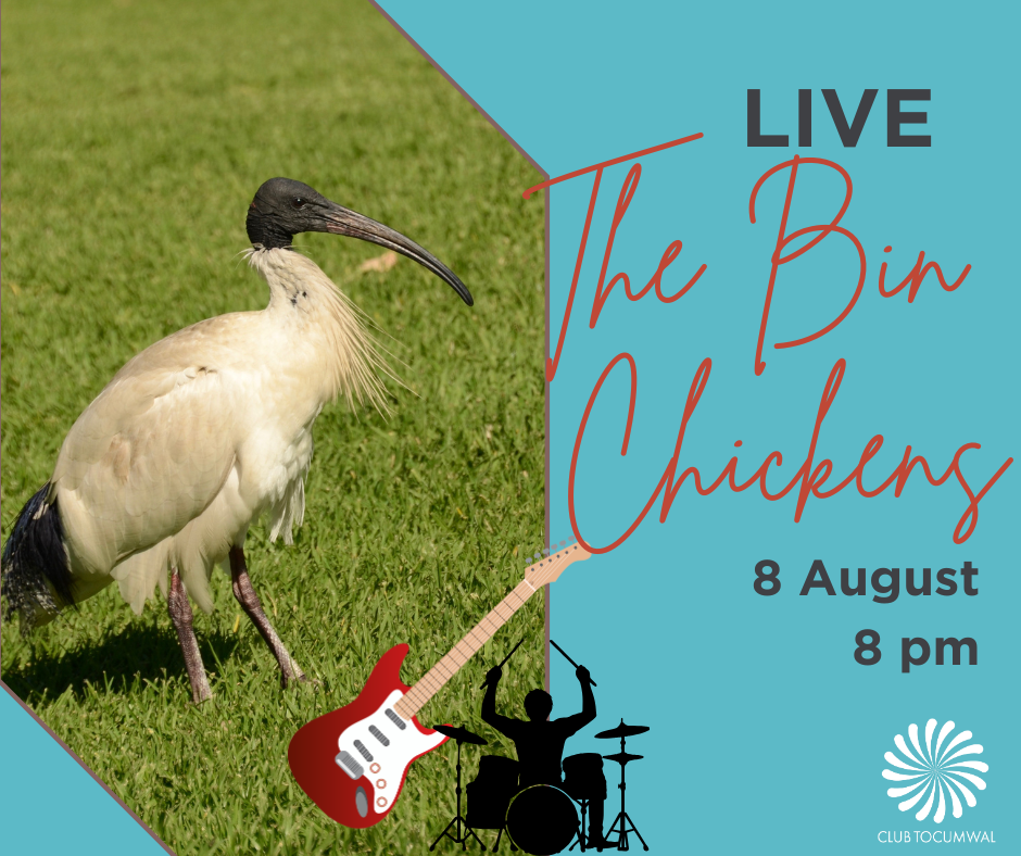 Bin Chickens – 8 August
